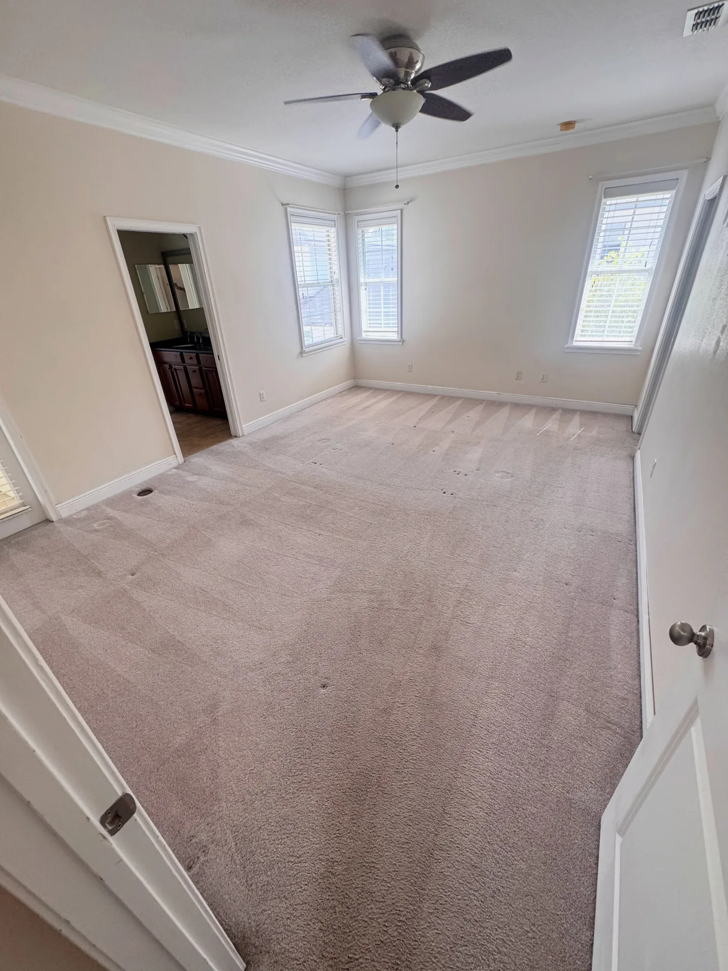 Heavily marked residential carpet after professional carpet cleaning by Everglades Cleaning Solution