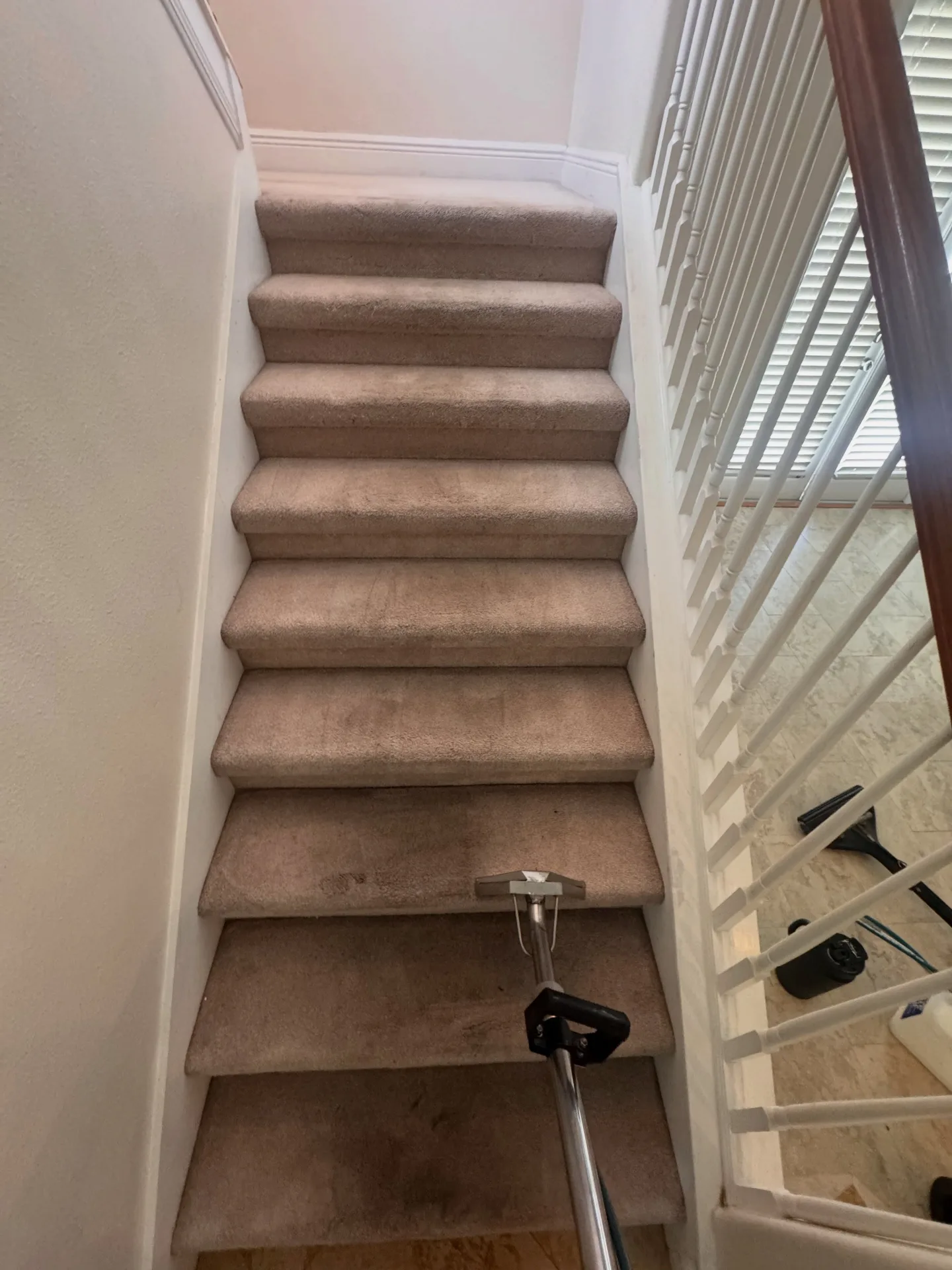Carpeted residential staircase after professional carpet cleaning by Everglades Cleaning Solution