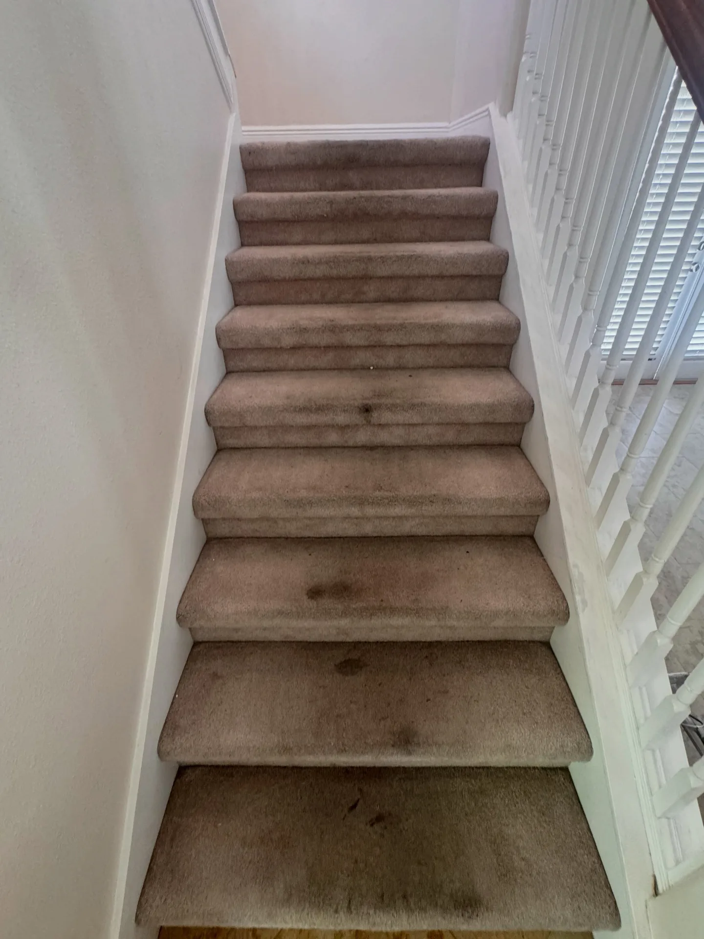 Carpeted residential staircase before professional carpet cleaning by Everglades Cleaning Solution