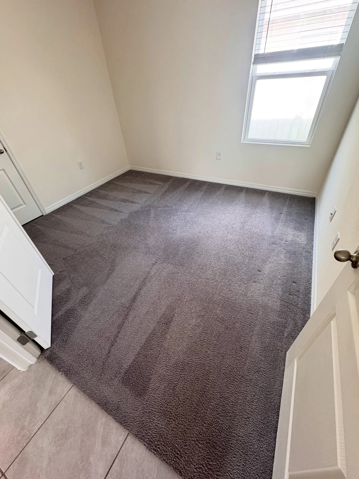 Residential carpet across an interior room after professional carpet cleaning by Everglades Cleaning Solution