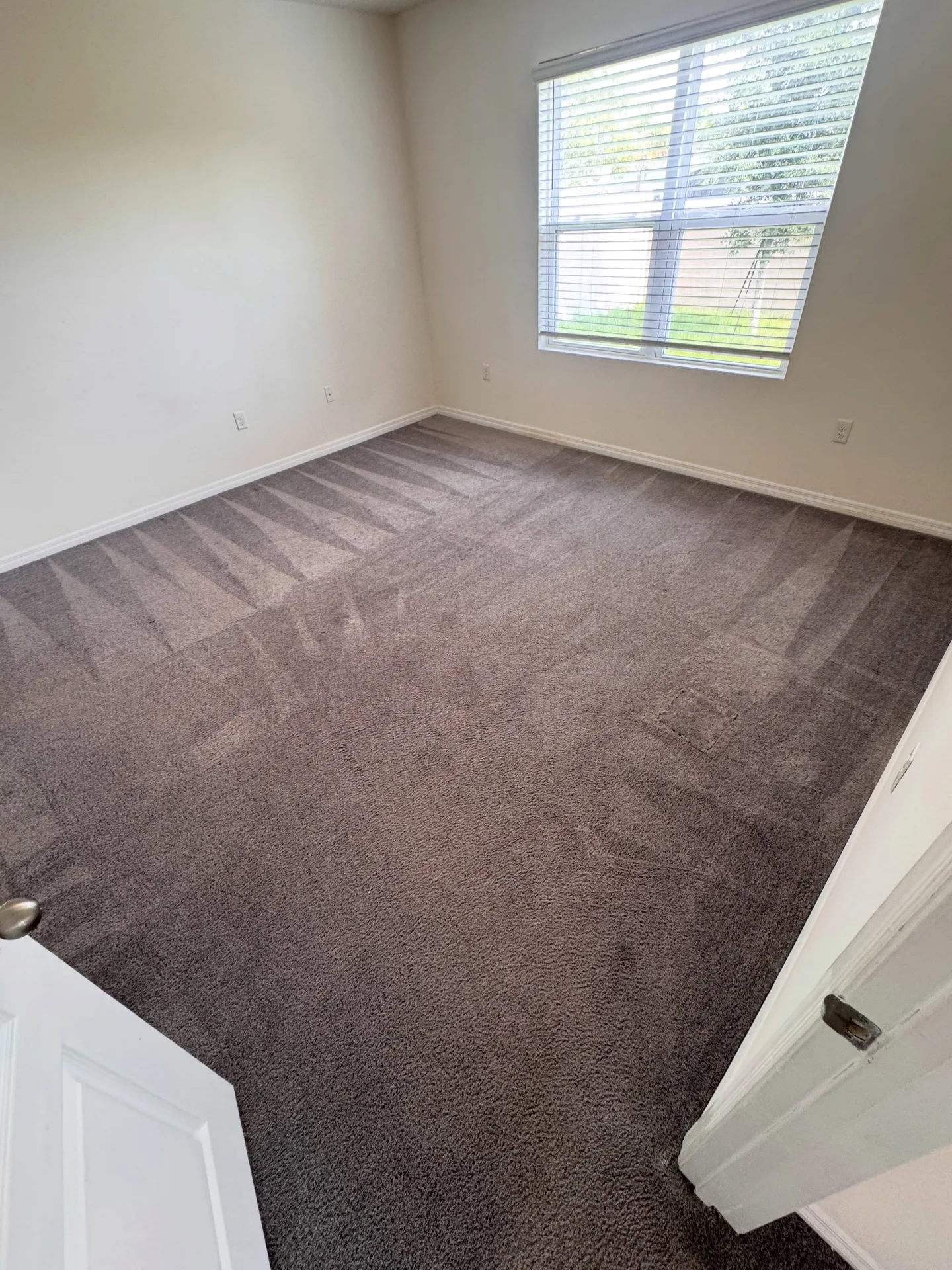 Carpeted room viewed through a doorway after professional carpet cleaning by Everglades Cleaning Solution