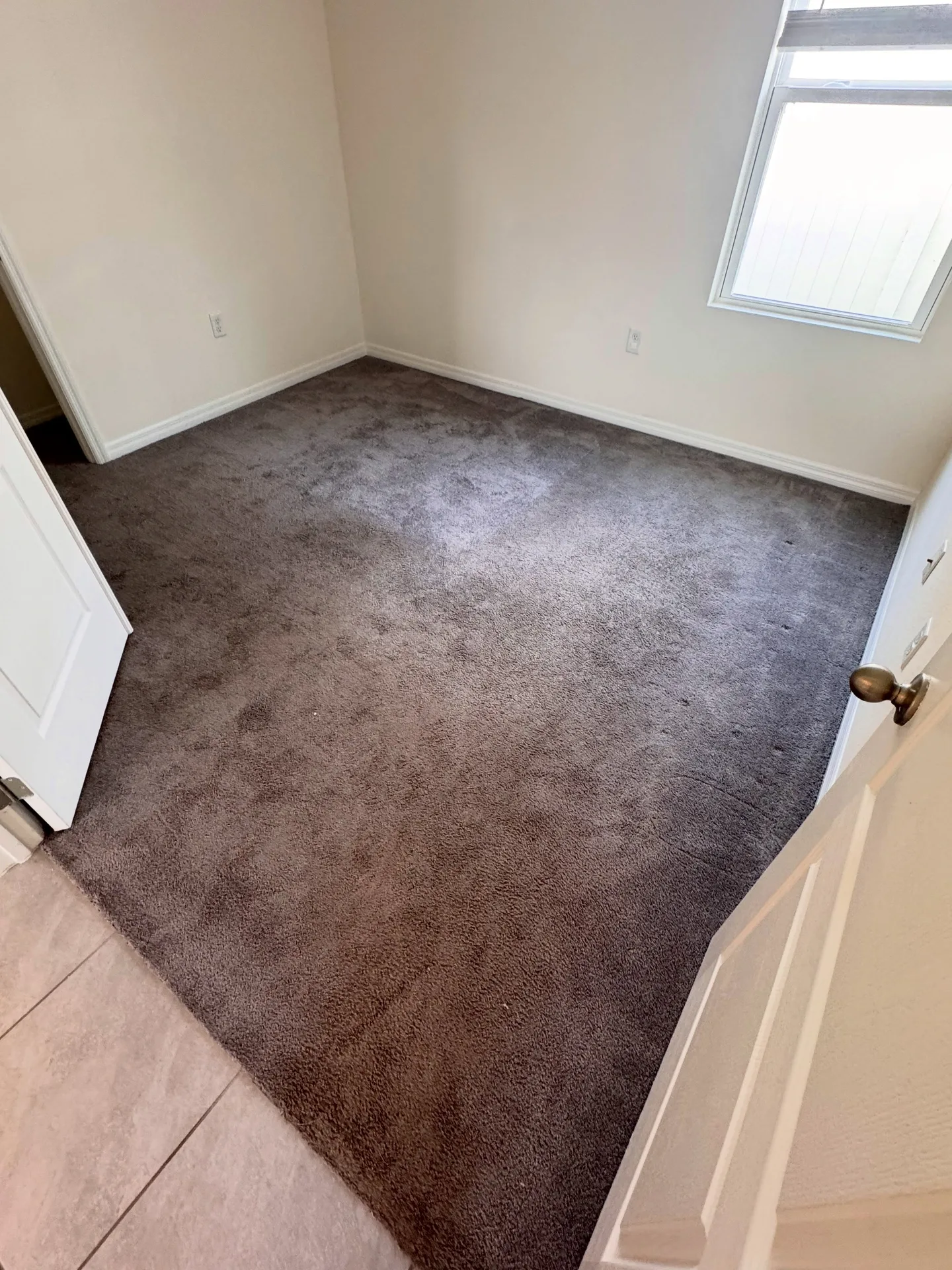 Carpeted room viewed through a doorway before professional carpet cleaning by Everglades Cleaning Solution