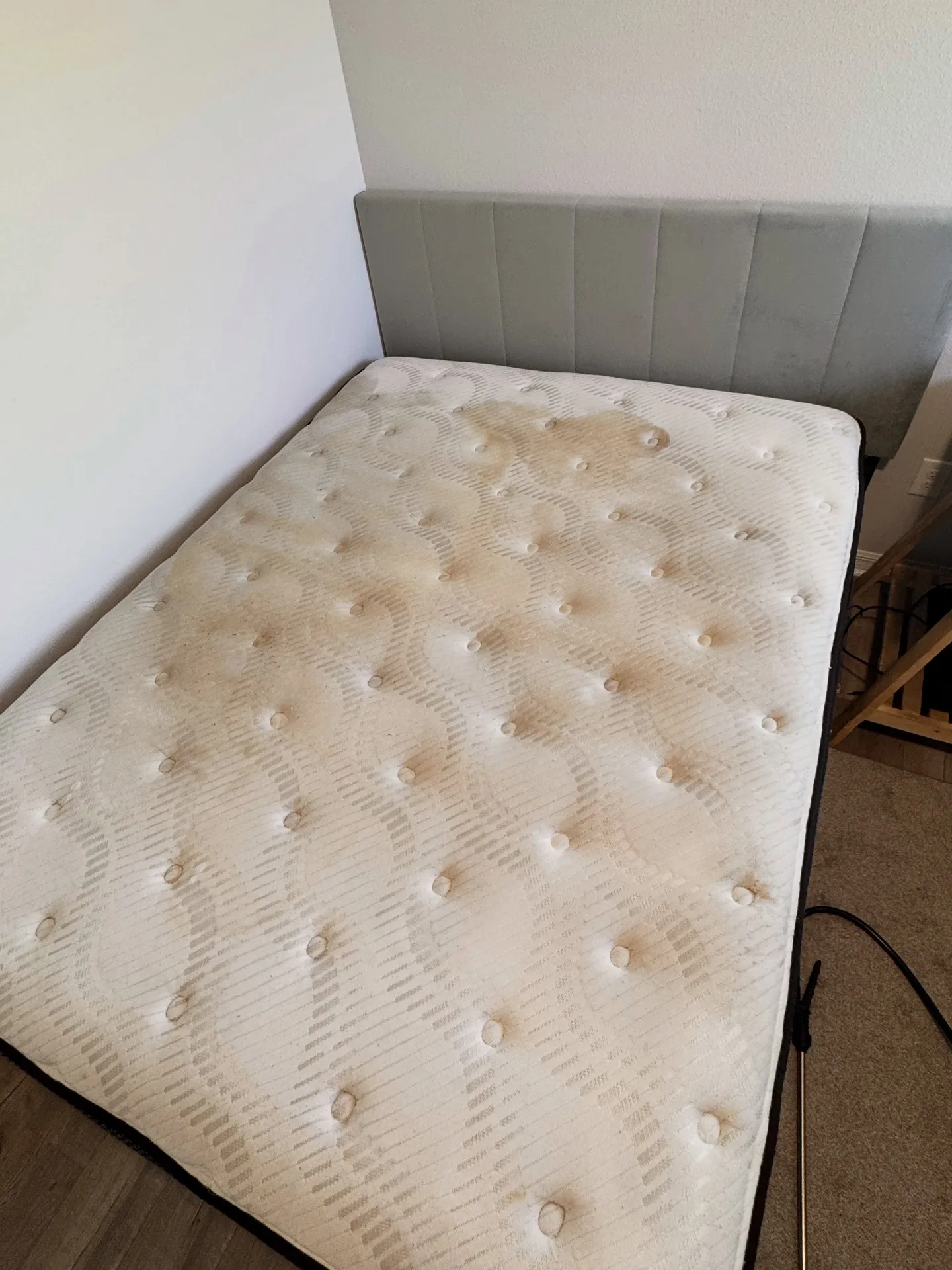 Light mattress with visible surface marks before professional mattress cleaning by Everglades Cleaning Solution