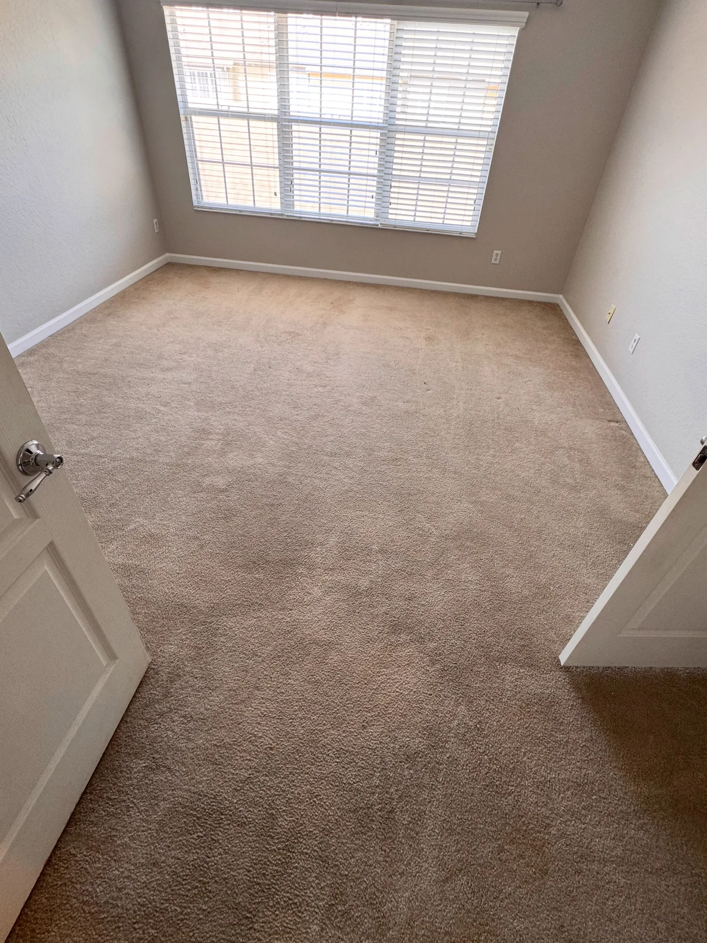 Residential carpet with visible traffic marks before professional carpet cleaning by Everglades Cleaning Solution