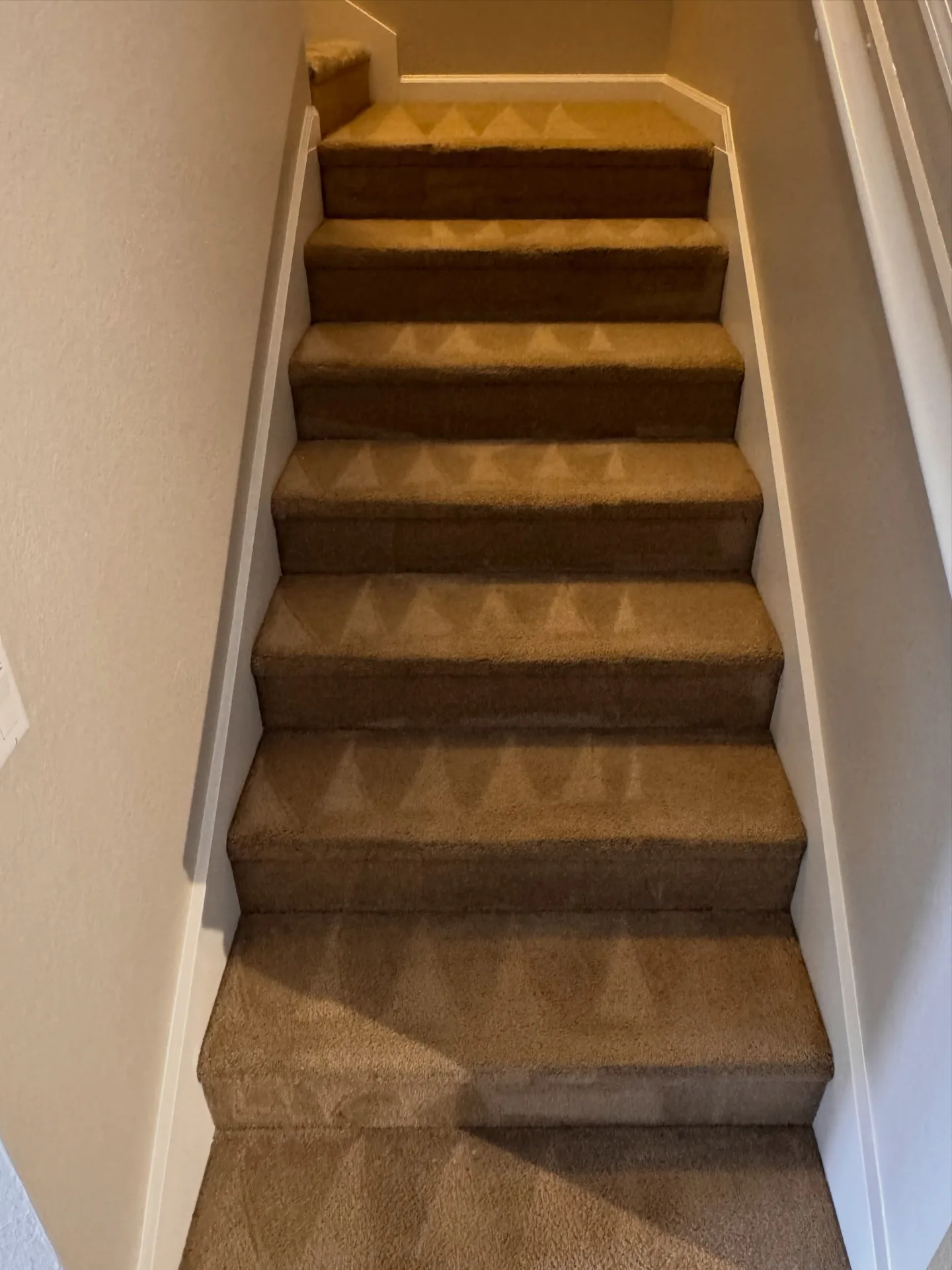 Residential carpeted stairs and risers after professional carpet cleaning by Everglades Cleaning Solution