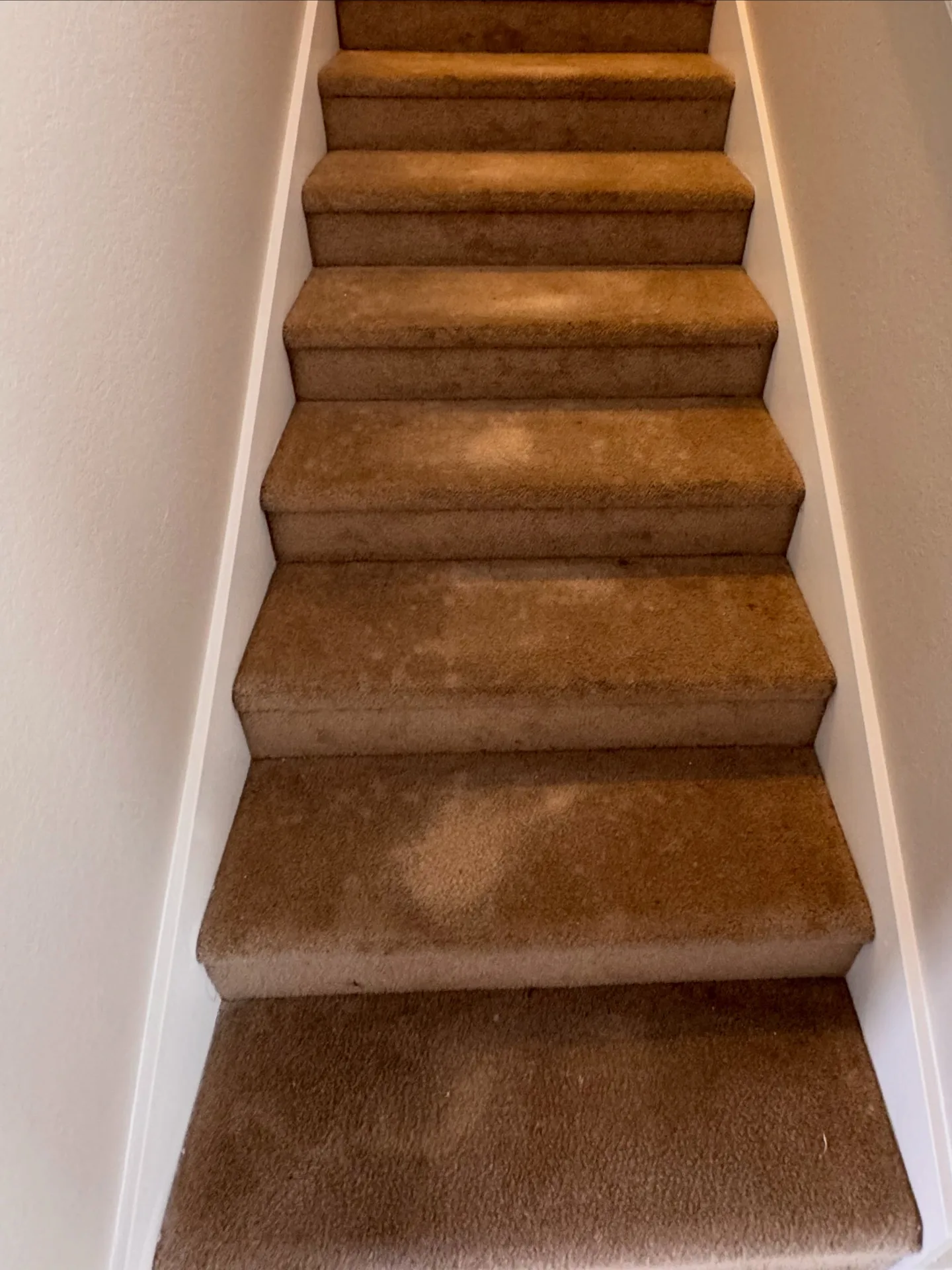 Residential carpeted stairs and risers before professional carpet cleaning by Everglades Cleaning Solution