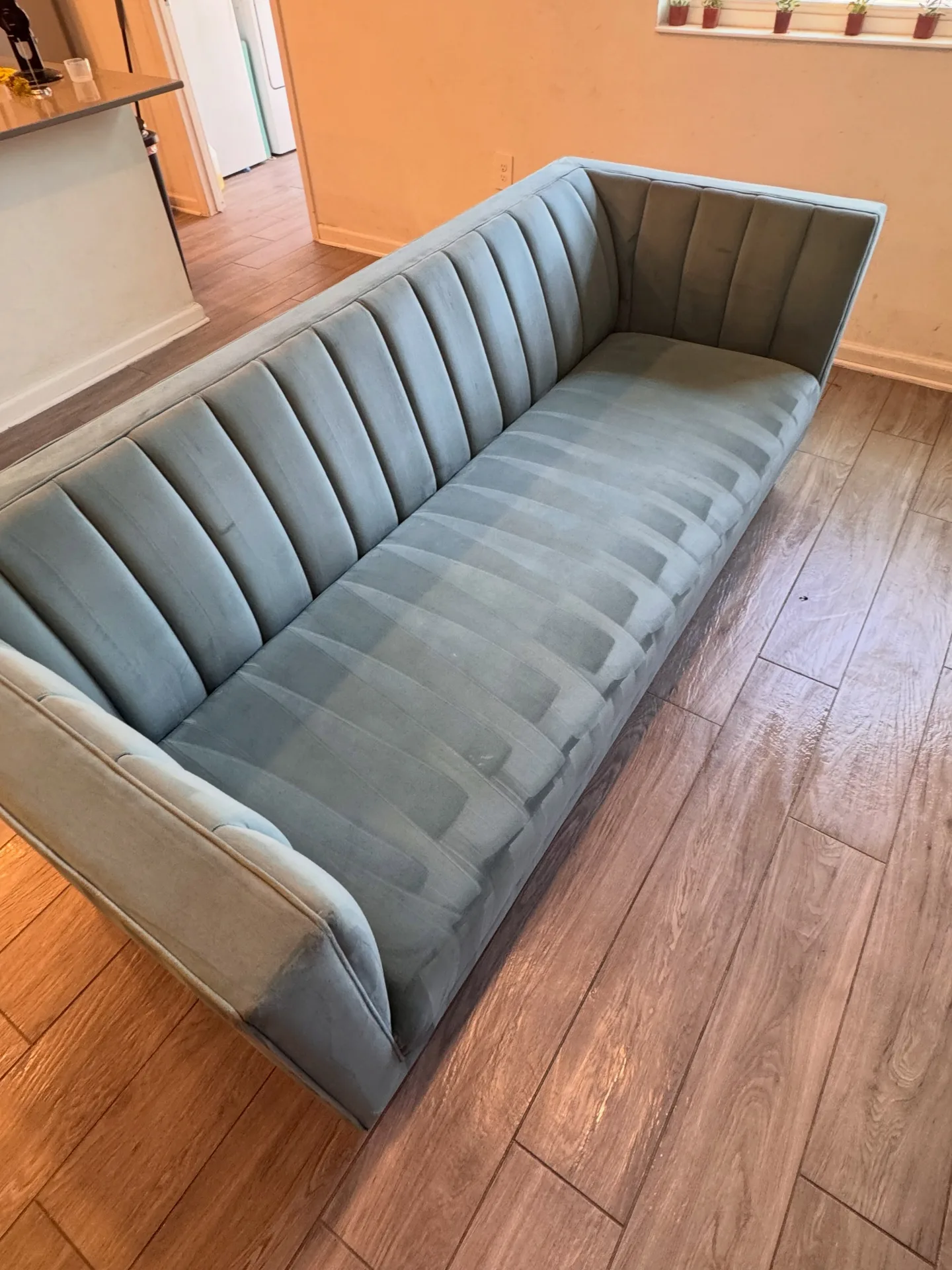 Upholstered sofa seat and back cushions after professional upholstery cleaning by Everglades Cleaning Solution