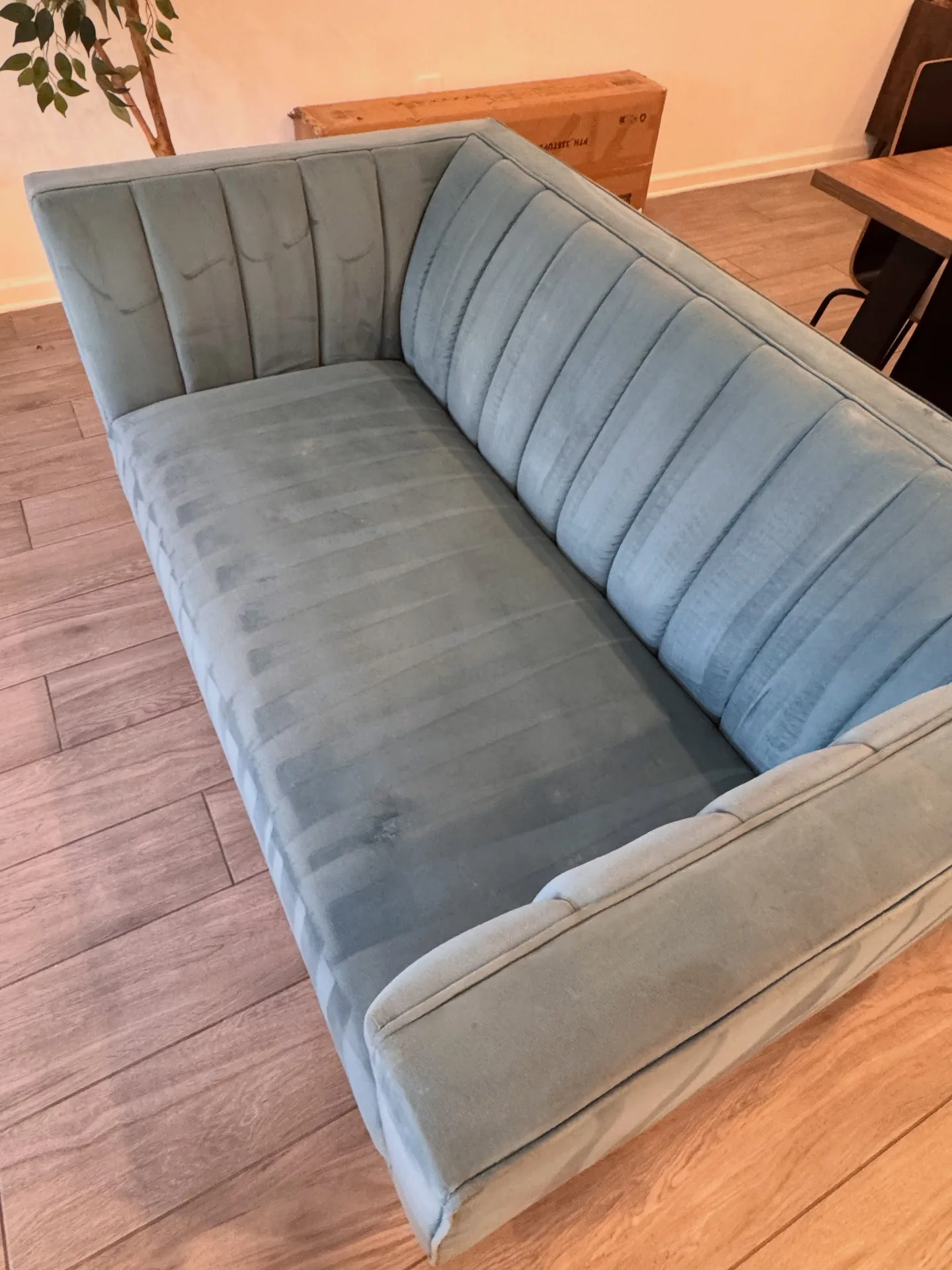 Marked upholstered sofa section after professional upholstery cleaning by Everglades Cleaning Solution