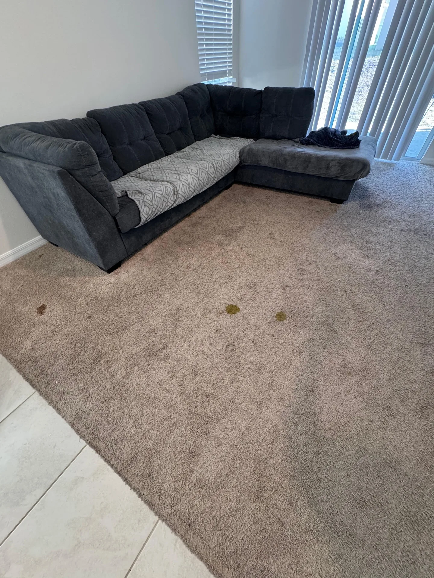 Carpet affected by a pet-related accident before professional carpet cleaning by Everglades Cleaning Solution