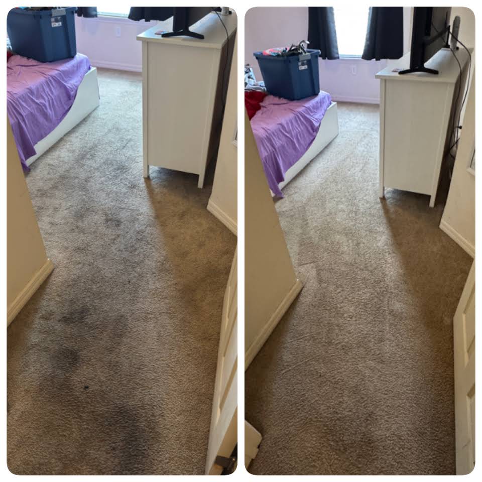 Trabalho de limpeza de carpetes publicado pela Everglades Cleaning Solution