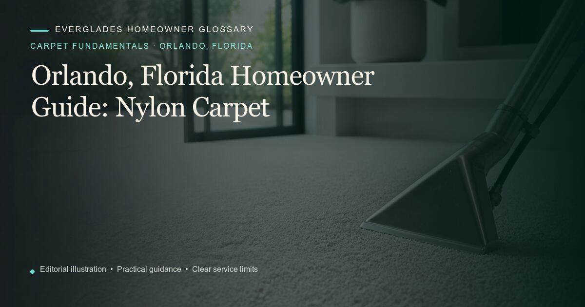 Editorial illustration for Nylon Carpet, part of the carpet fundamentals glossary for homeowners in Orlando, Florida.