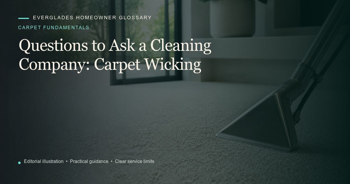 Editorial illustration for Carpet Wicking, part of the carpet fundamentals glossary.