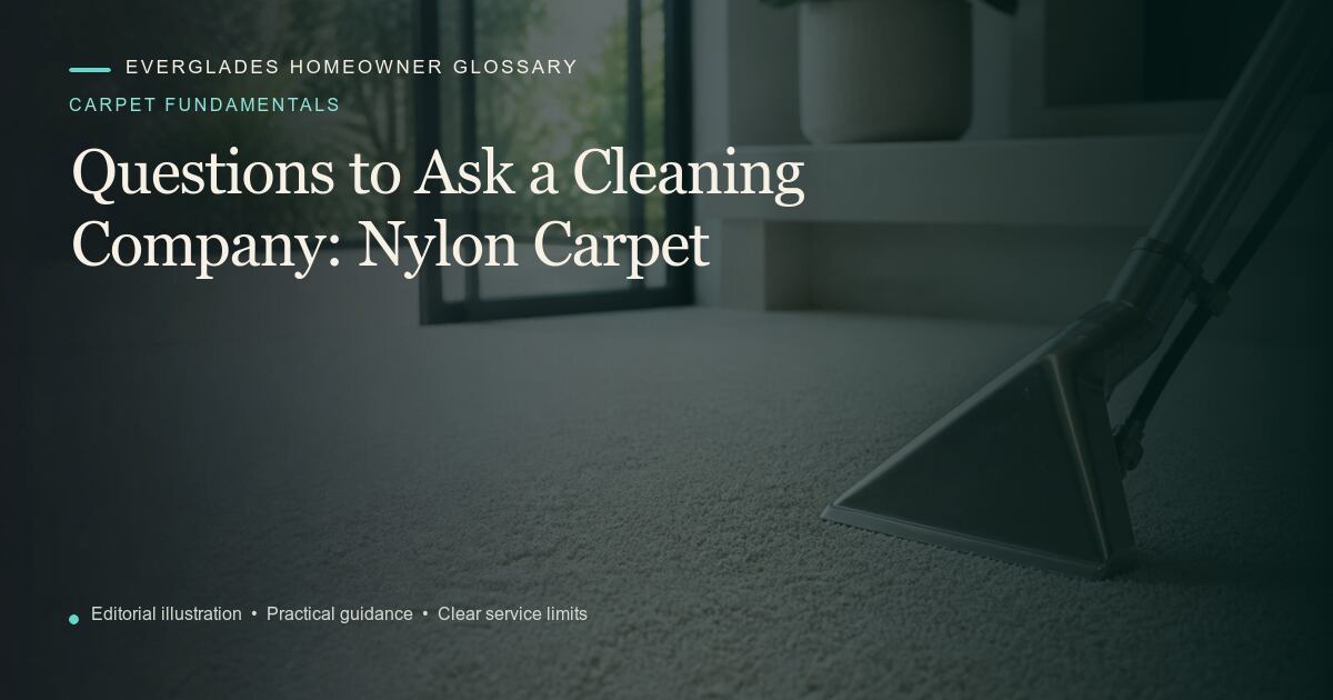 Editorial illustration for Nylon Carpet, part of the carpet fundamentals glossary.