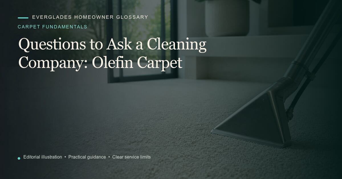 Editorial illustration for Olefin Carpet, part of the carpet fundamentals glossary.