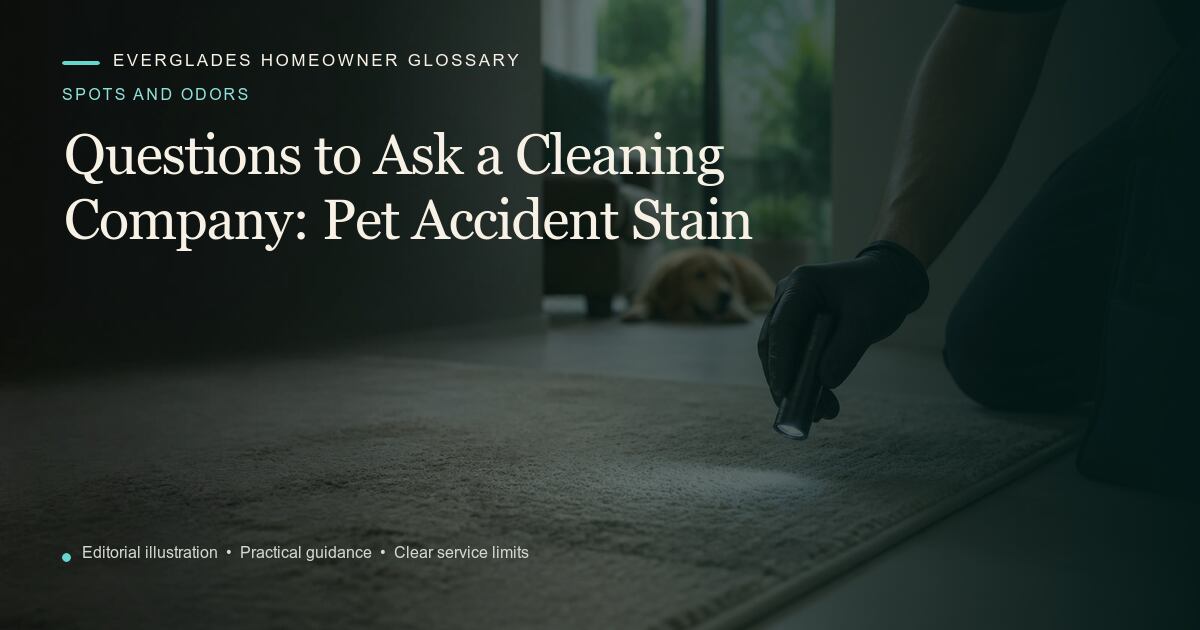 Editorial illustration for Pet Accident Stain, part of the spots and odors glossary.