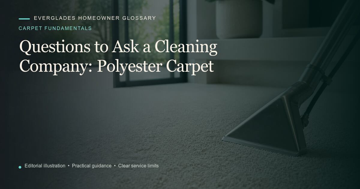 Editorial illustration for Polyester Carpet, part of the carpet fundamentals glossary.